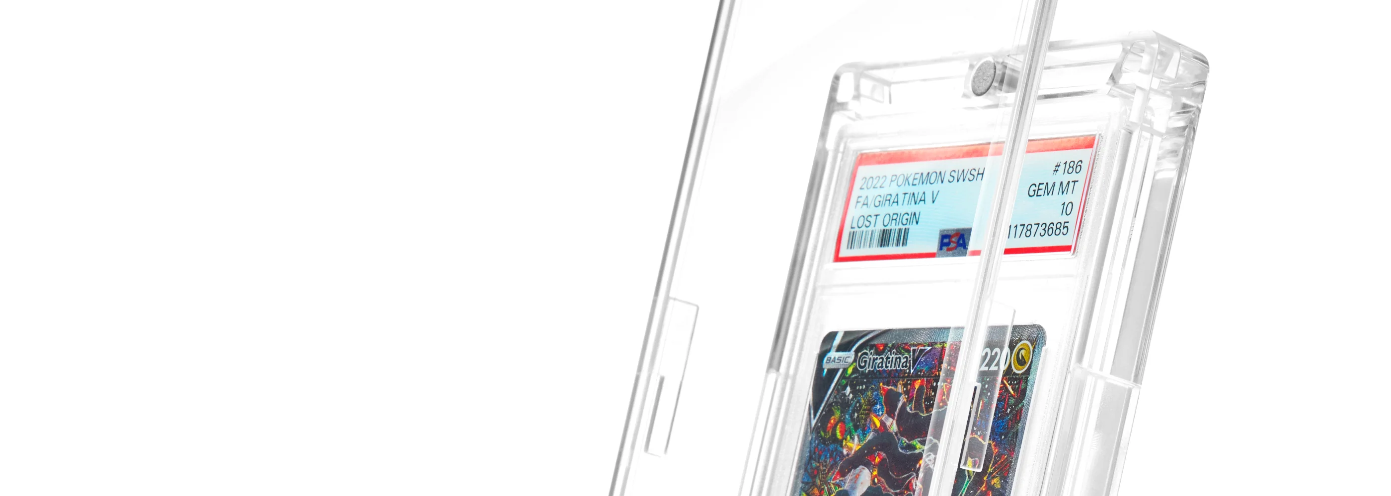 Elevate Your Archive